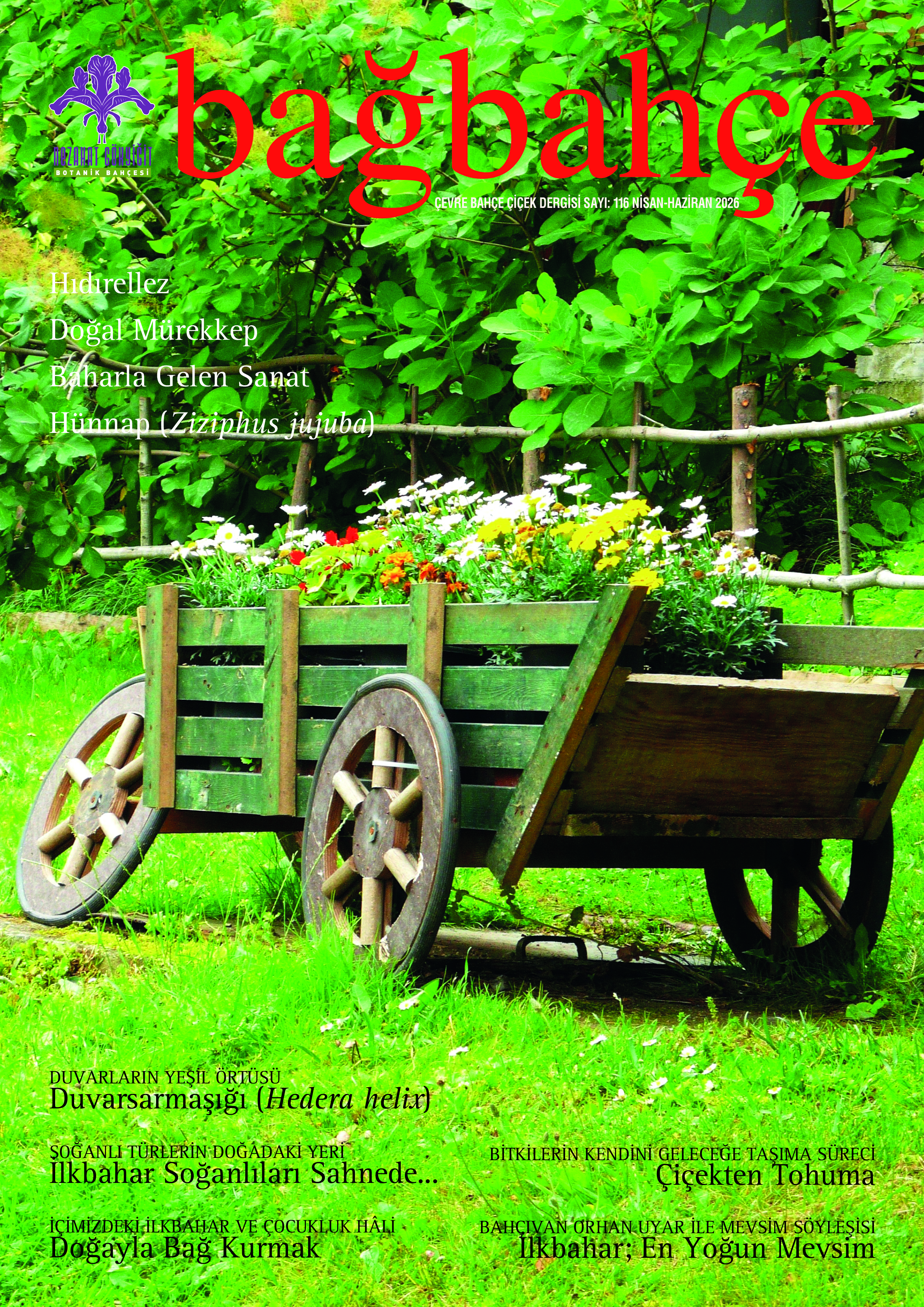 bağbahçe 115. sayı kapak