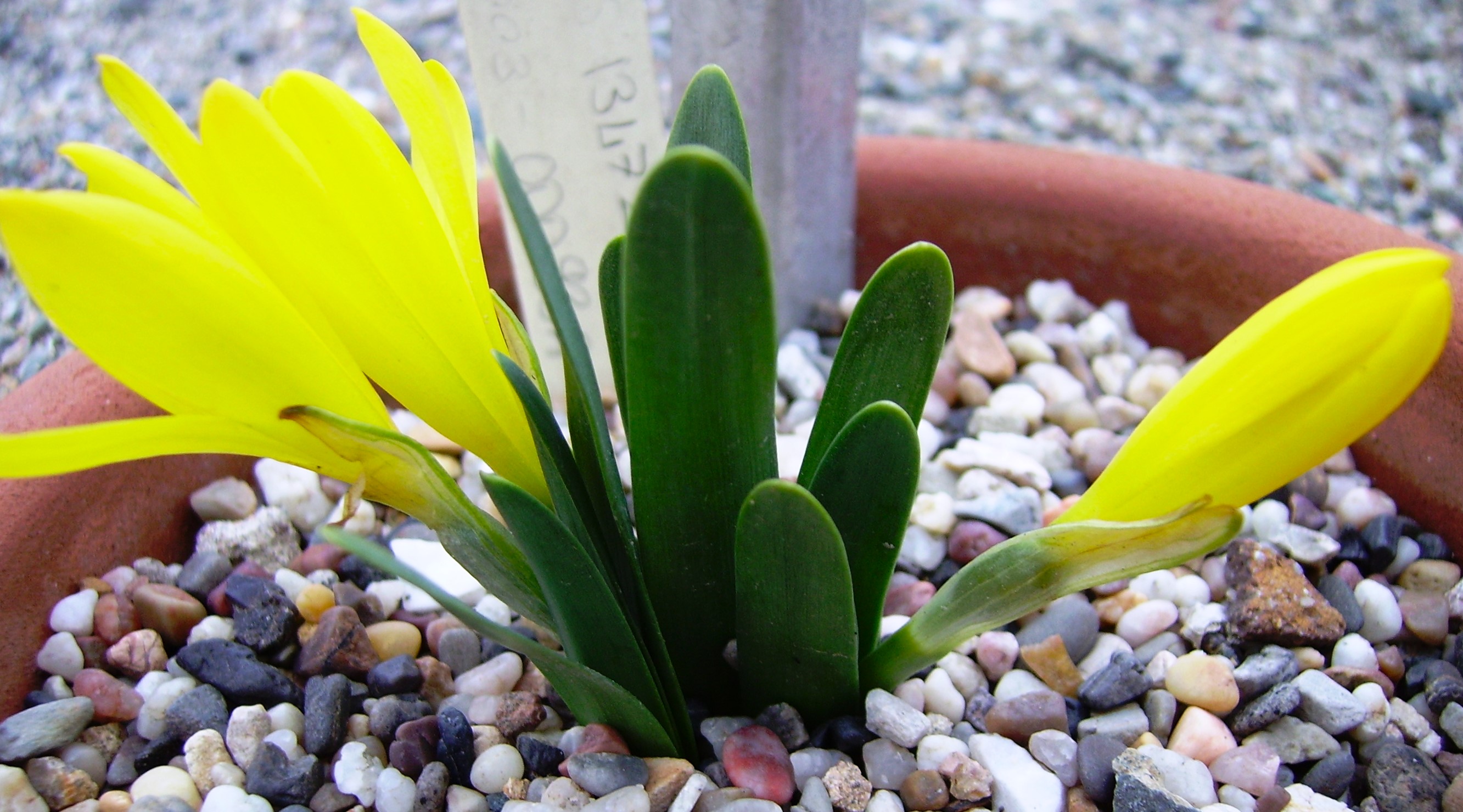 NGBB’de Uygulamalı Eğitimler