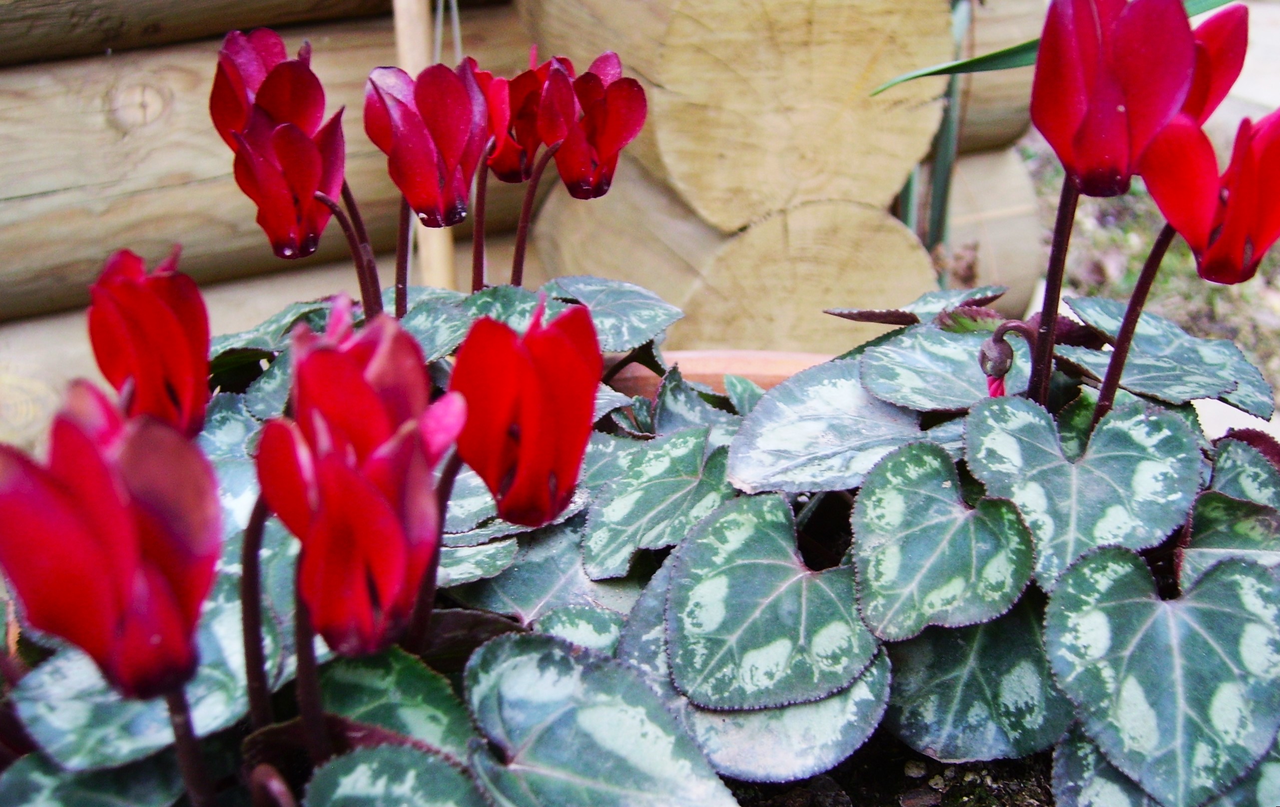 NGBB’de Uygulamalı Eğitimler